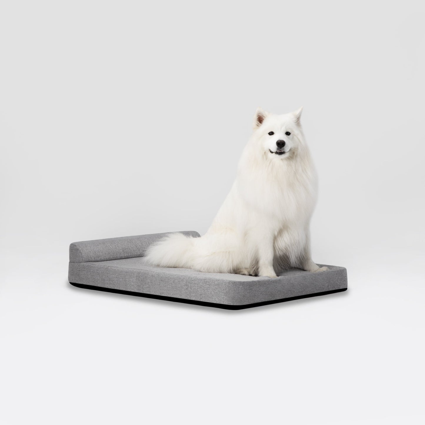 Diggs 42" Bolstr Dog Bed with Headrest, Premium Memory Foam Crate and Home Pet Bed, Grey