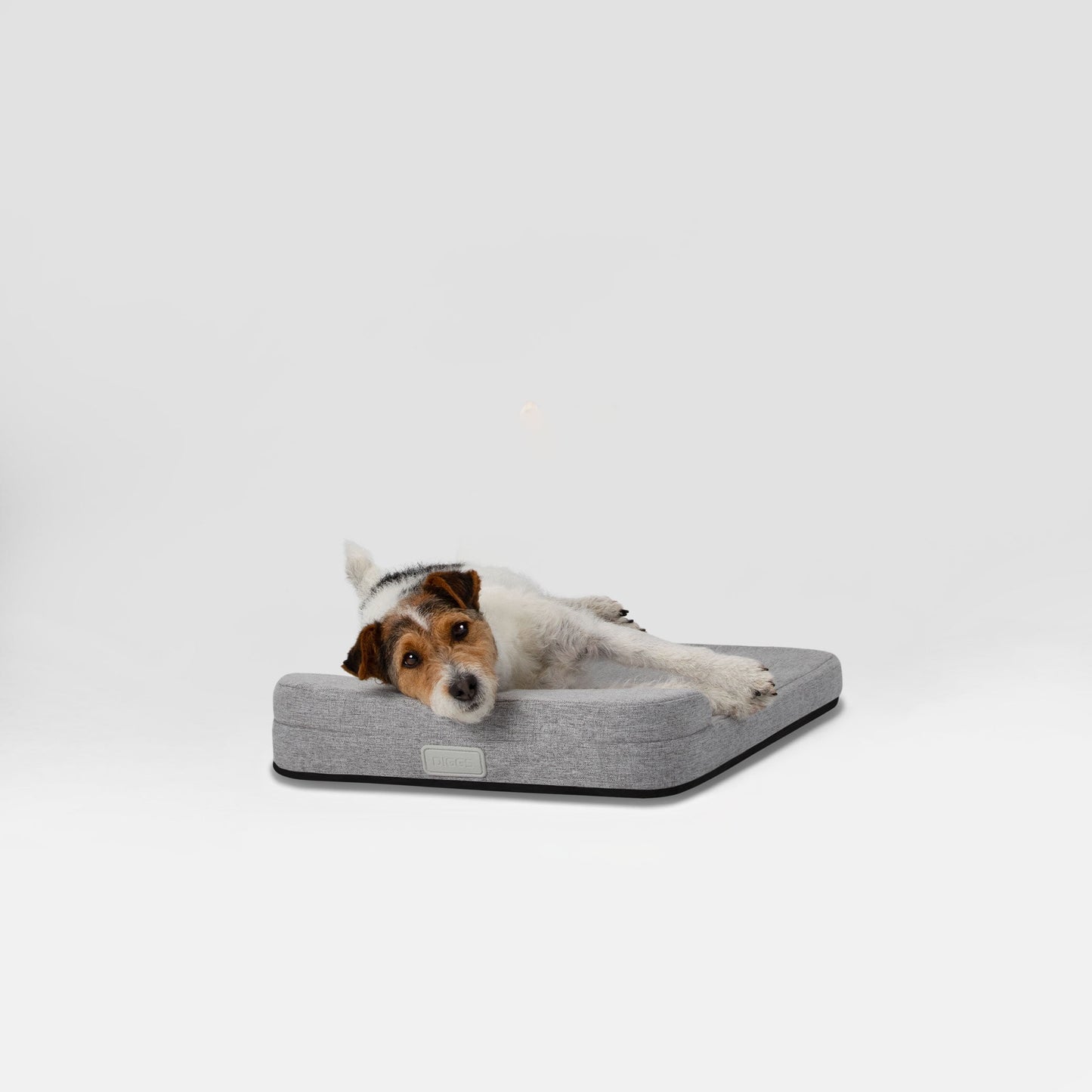 Diggs 42" Bolstr Dog Bed with Headrest, Premium Memory Foam Crate and Home Pet Bed, Grey