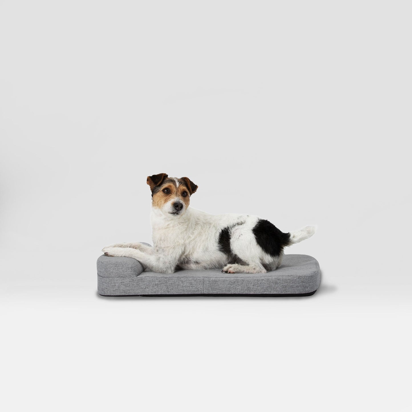 Diggs 42" Bolstr Dog Bed with Headrest, Premium Memory Foam Crate and Home Pet Bed, Grey