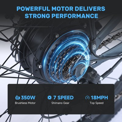 26" 350W Woman Mountain Electric Bike with 36V/13Ah Removable Battery